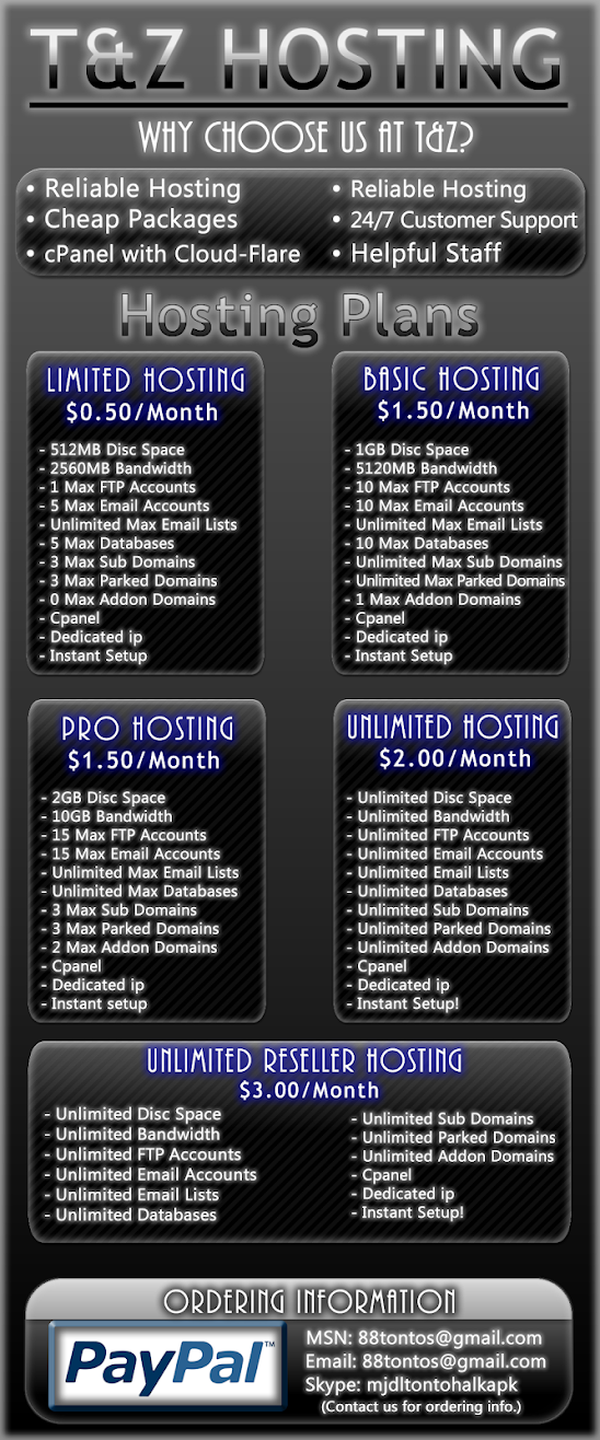 T&Z Hosting advertisement